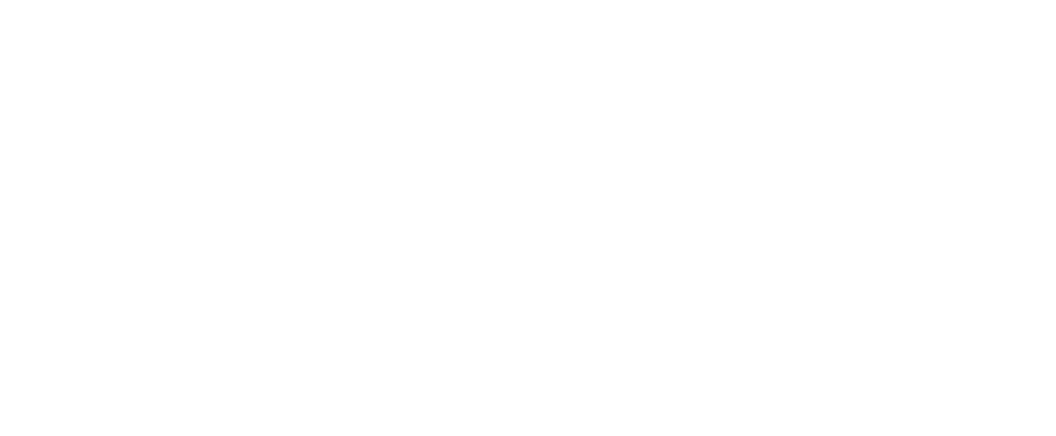 Echo Bay Vineyards