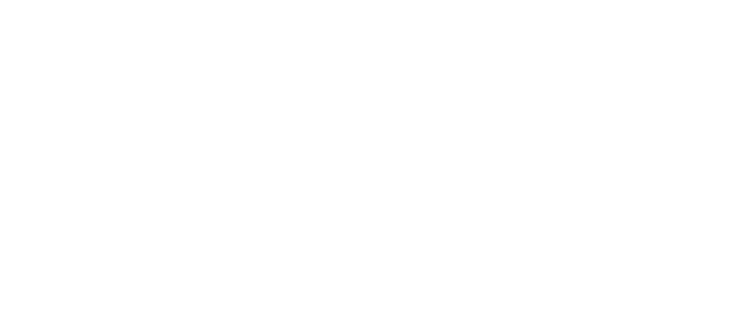 Echo Bay Vineyards